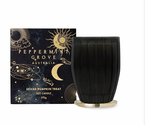 Spiced Pumpkin Treat Soy Candle 370g