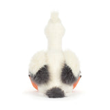 Keli Pelican