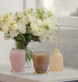 Café Noir Fragrance Diffuser 350ml