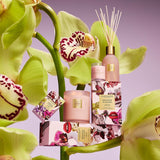 Radiance In Bloom 250mL Fragrance Diffuser
