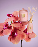 Radiance In Bloom 250mL Fragrance Diffuser
